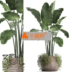 آبجکت گیاه plant 636