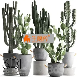 آبجکت گیاه plant 635