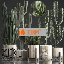 آبجکت گیاه plant 634