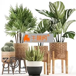 آبجکت گیاه plant 633