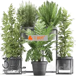آبجکت گیاه plant 632
