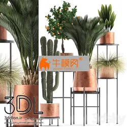 آبجکت گیاه plant 630