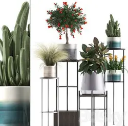 آبجکت گیاه plant 629