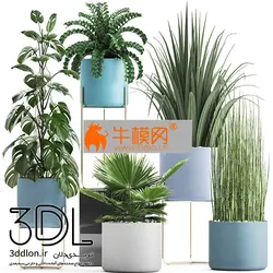 آبجکت گیاه plant 628