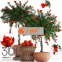 آبجکت گیاه plant 625