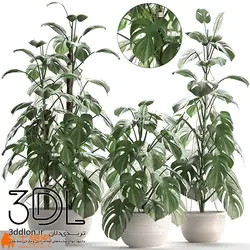 آبجکت گیاه plant 624