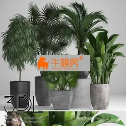 آبجکت گیاه plant 623