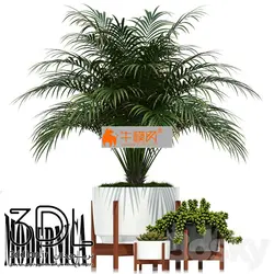 آبجکت گیاه plant 607