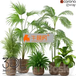 آبجکت گیاه plant 604