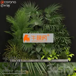 آبجکت گیاه plant 601