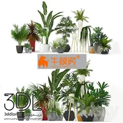 آبجکت گیاه plant 598