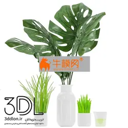 آبجکت گیاه plant 618