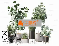 آبجکت گیاه plant 617