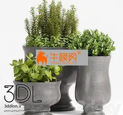 آبجکت گیاه plant 615