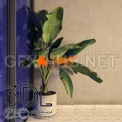 آبجکت گیاه plant 612