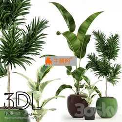 آبجکت گیاه plant 608
