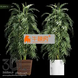 آبجکت گیاه plant 595