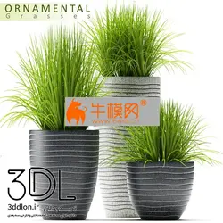 آبجکت گیاه plant 593