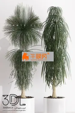 آبجکت گیاه plant 592