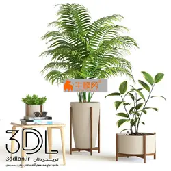 آبجکت گیاه plant 591