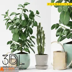 آبجکت گیاه plant 590