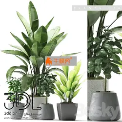 آبجکت گیاه plant 589