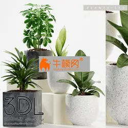 آبجکت گیاه plant 588