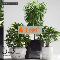 آبجکت گیاه plant 587