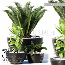 آبجکت گیاه plant 586