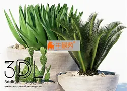 آبجکت گیاه plant 585