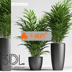 آبجکت گیاه plant 583