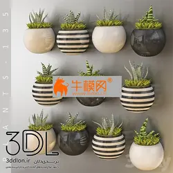 آبجکت گیاه plant 582