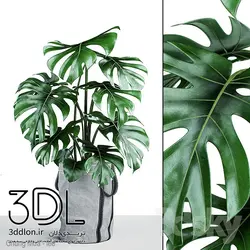 آبجکت گیاه plant 579