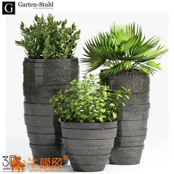 آبجکت گیاه plant 577