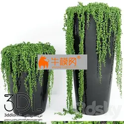 آبجکت گیاه plant 573