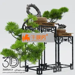 آبجکت گیاه plant 570