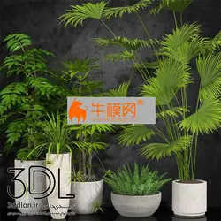 آبجکت گیاه plant 567