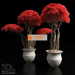 آبجکت گیاه plant 566