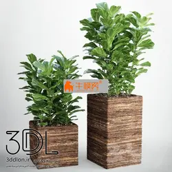 آبجکت گیاه plant 565