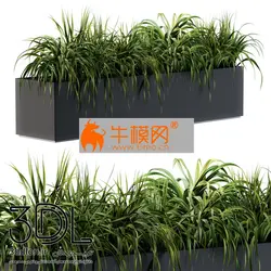 آبجکت گیاه plant 564