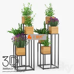 آبجکت گیاه plant 563