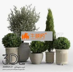 آبجکت گیاه plant 562