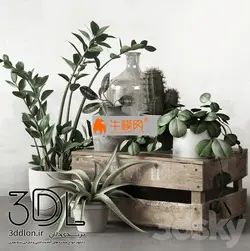 آبجکت گیاه plant 561