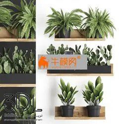 آبجکت گیاه plant 560