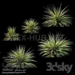 آبجکت گیاه plant 559