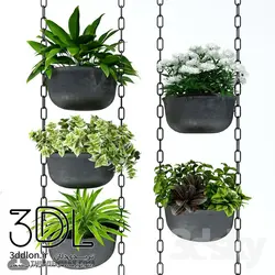 آبجکت گیاه plant 558