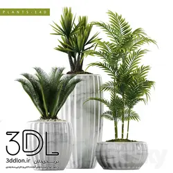 آبجکت گیاه plant 557