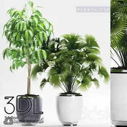 آبجکت گیاه plant 556