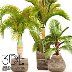 آبجکت گیاه plant 554