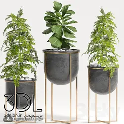 آبجکت گیاه plant 552